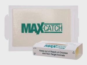 72MB 4.5lb Peanut Butter Glue Board – Box