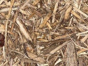 Mulch, Certified Playground