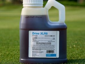 Drive XLR8 (.5gal) Herbicide T&O
