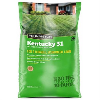 Penn Kentucky 31 Tall Fescue Penkoted 50#