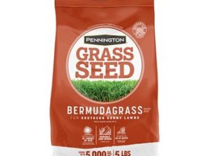 Seed, Bermudagrass For Full Sun - 5 lbs