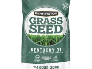 Penn 20# Kentucky 31 Fescue Pk Pencoted