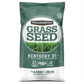Penn 20# Kentucky 31 Fescue Pk Pencoted