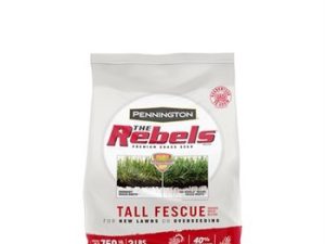 Seed, The Rebels Tall Fescue Bl - 3 lbs