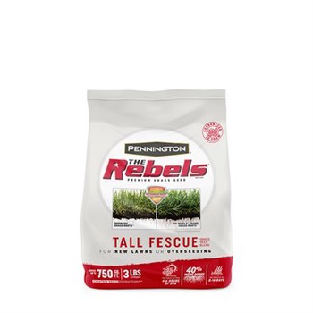 Seed, The Rebels Tall Fescue Bl - 3 lbs