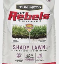 Seed, The Rebels Shady Lawn Mx - 20 lbs