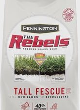 Seed, The Rebels Shady Lawn Mix - 7 lbs