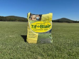 TifBlair Centipede Seed - 1 lb