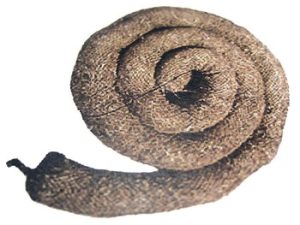 9" x 25' Straw Wattle