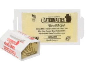 150MB Mouse & Insect Glue Board – Box