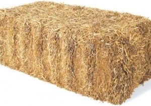 Wheat Straw - Bale