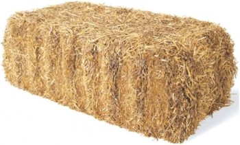 Wheat Straw - Bale